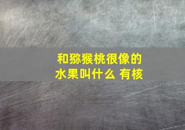 和猕猴桃很像的水果叫什么 有核